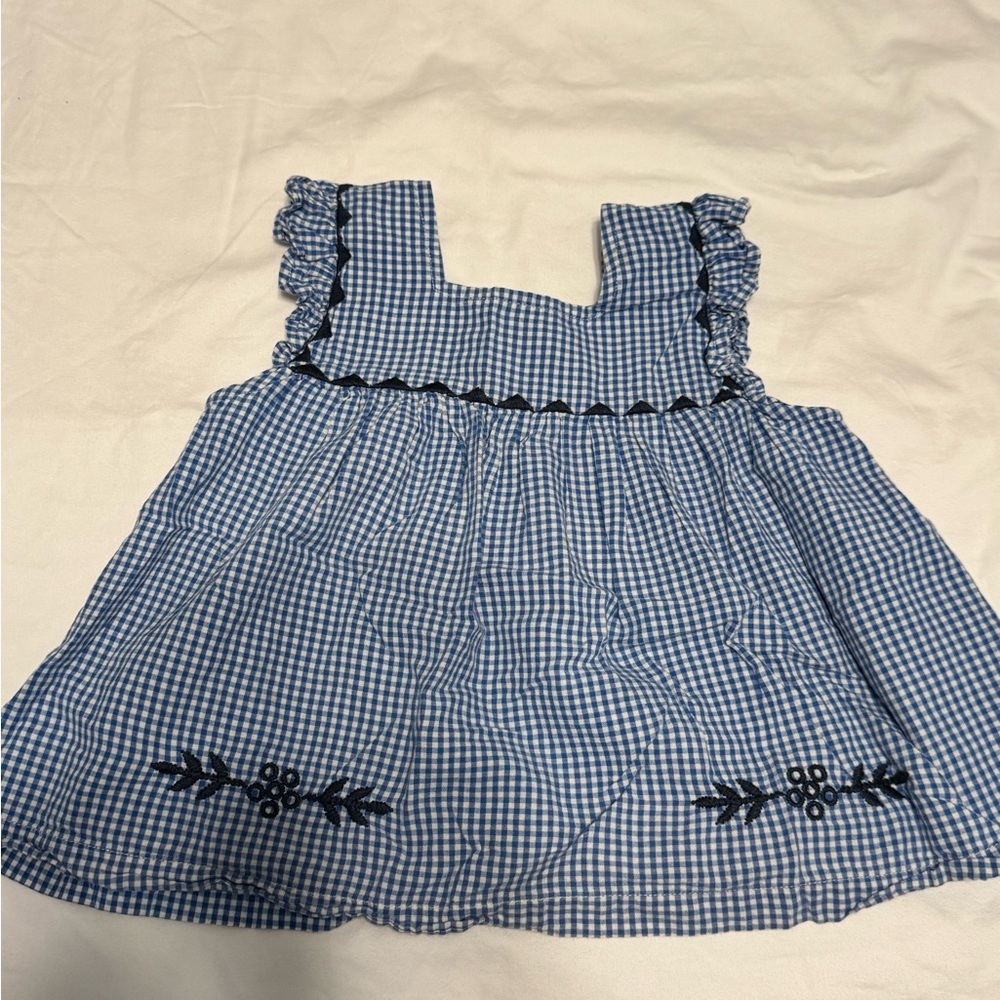 Pink Chicken Blue Gingham Blouse